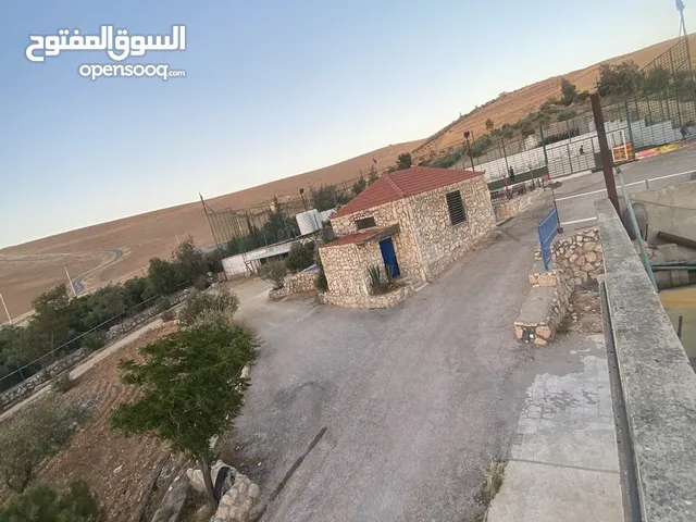 Farm Land for Sale in Zarqa Graisa