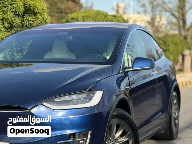 2019 تيسلا موديل X Performance