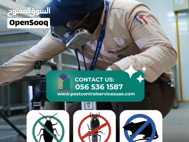 Best Affordable Pest Control Services in Ajman  Blue Diamond