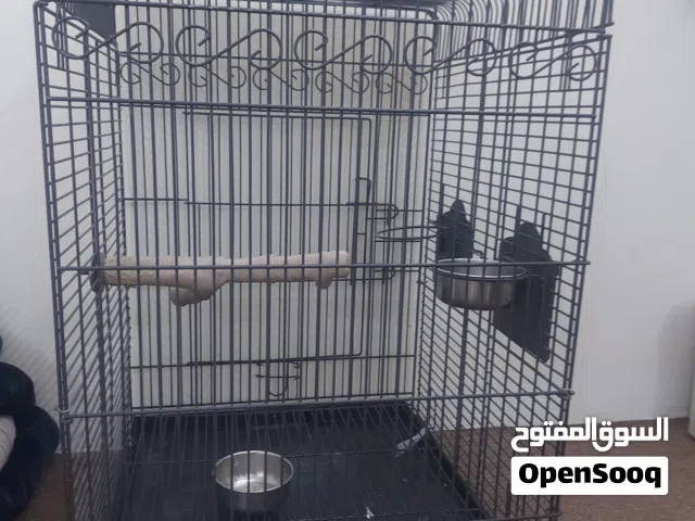 Large Cage with Mobile Base (Excellent Condition)