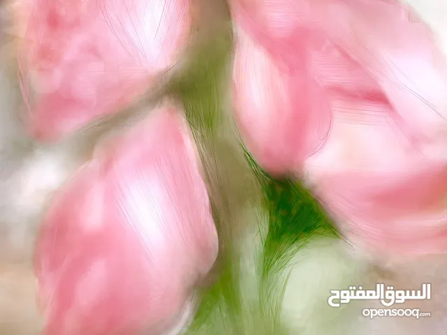 Pink Roses Digital painting