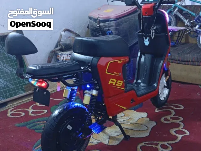 2026 اخرى اخرى