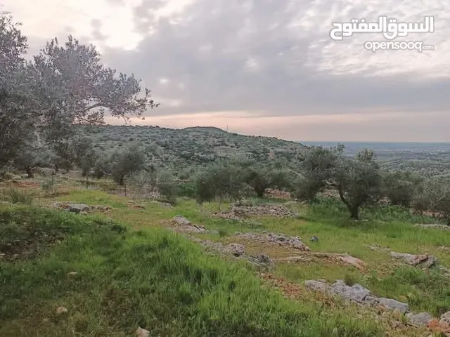 Mixed Use Land for Sale in Amman Naour