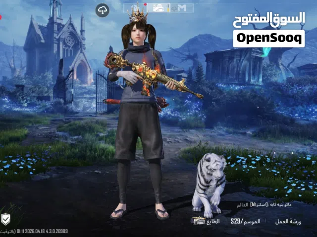 Pubg Accounts and Characters for Sale in Hebron
