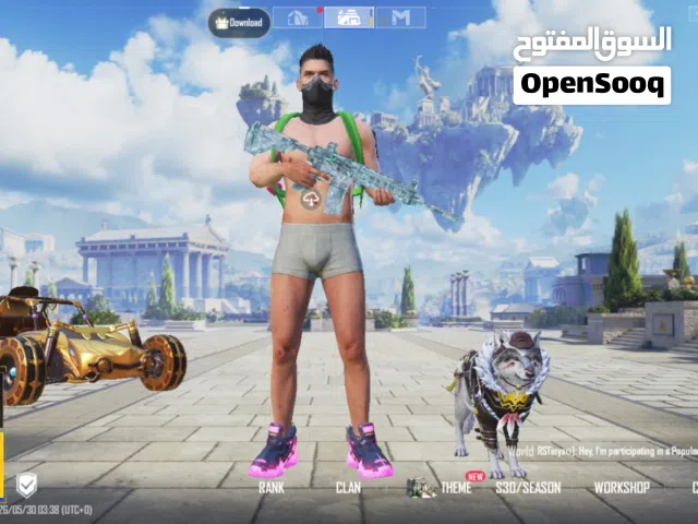 PUBG mobile id 73 leval