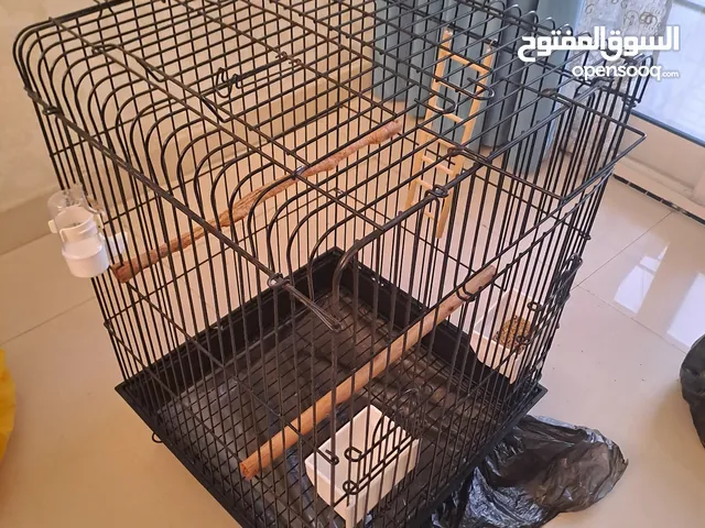 big cage for parrot or bird
