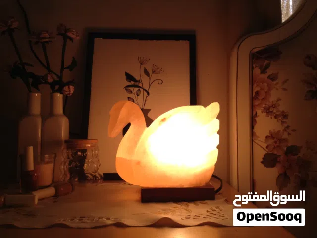 Pink Himalayan Salt Lamp