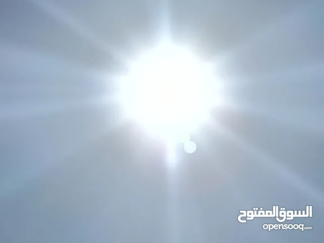 مشتاق طالب