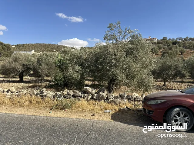 Farm Land for Sale in Zarqa Al-Alouk