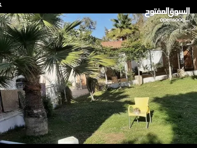 هكتار رئيسي عين زارة للبيع حتى نص مساحة