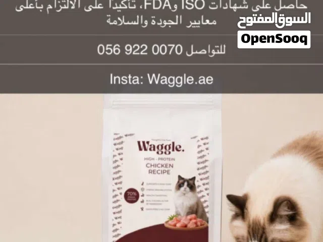 اكل قطط براند اماراتي