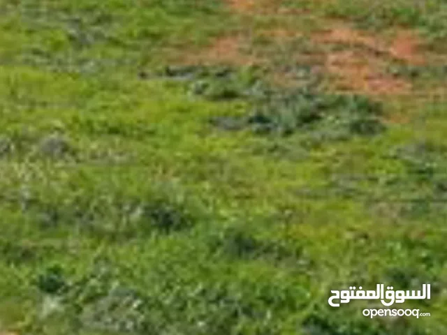 Farm Land for Sale in Benghazi Sidi Khalifa