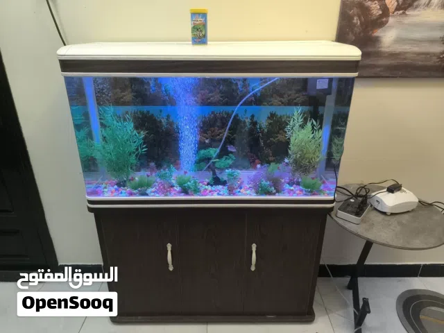 حوض سمك كبير و مناسب