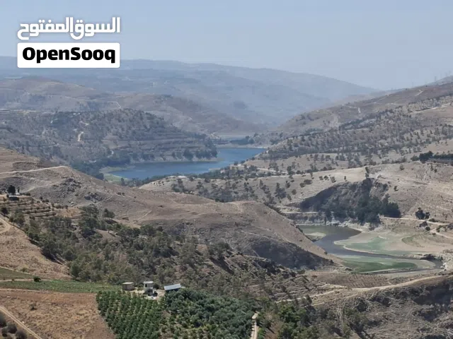 ارض مميزه 3 دونمات ونص للبيع في المصطبه مطله على سد الملك طلال