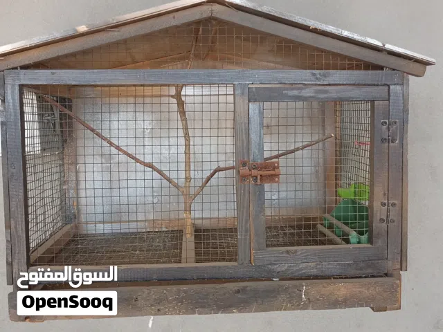 سزنة نظيفة للبيع
