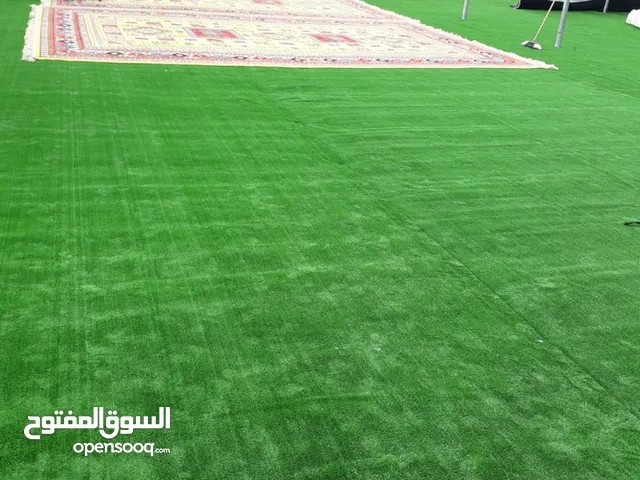 Carpet Corton mojlish wallpaper