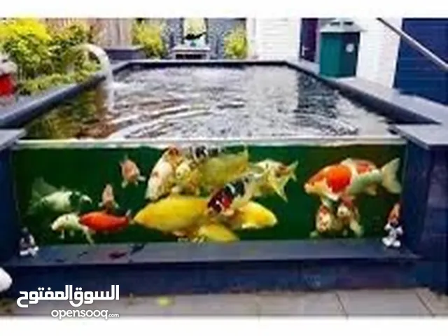 تصميم و بناء كوي بوند للحدائق