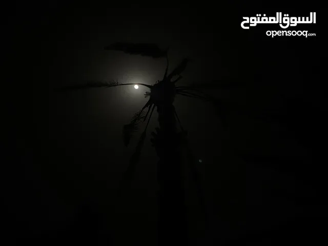 لي البيع ايفون11