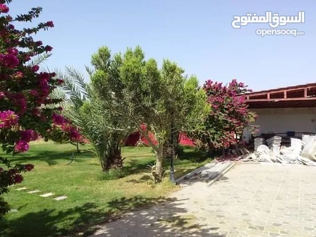 600 m2 More than 6 bedrooms Townhouse for Sale in Tripoli Abu Saleem