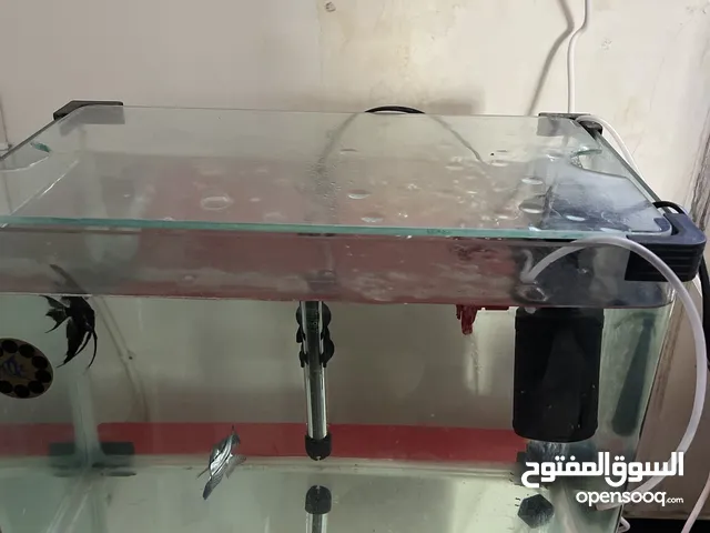 حوض اسماك للبيع
