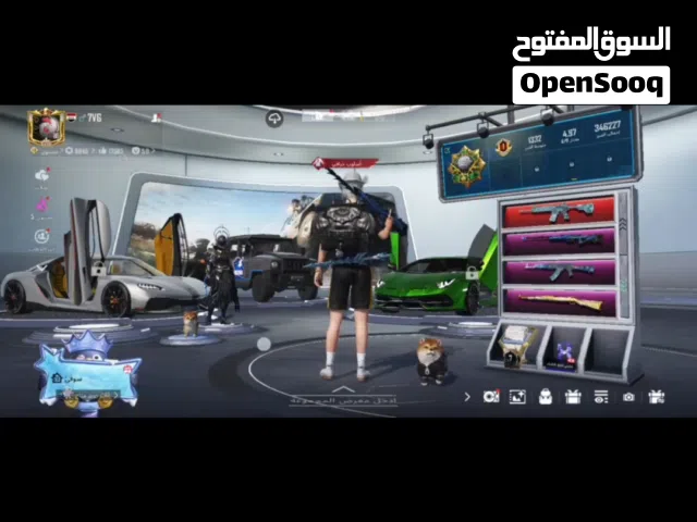 Pubg Accounts and Characters for Sale in Alexandria