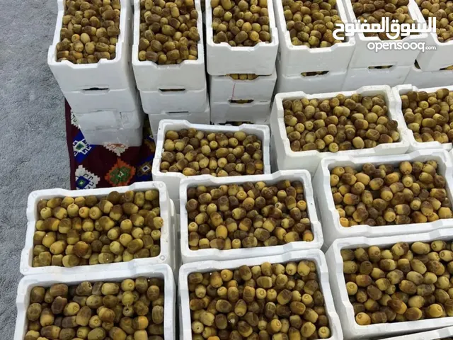 تمور روثانة المدينه