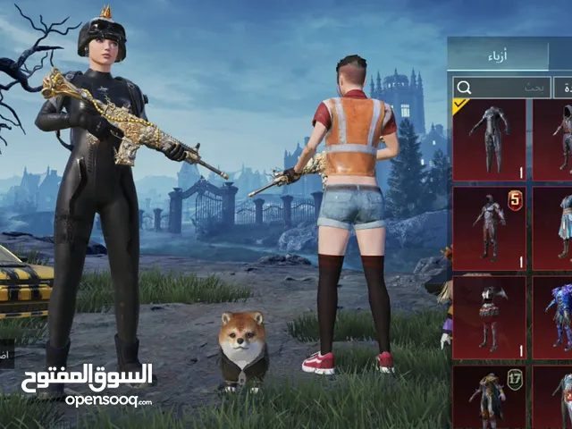 Pubg Accounts and Characters for Sale in Abu Dhabi