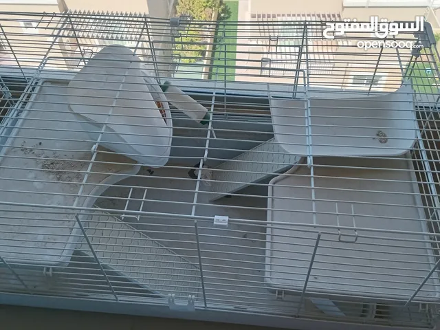 قفص حيوانات للبيع cage for sale