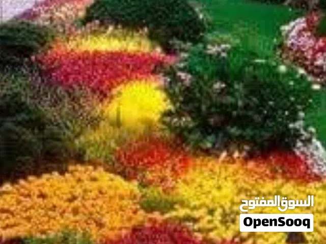 120 m2 2 Bedrooms Townhouse for Rent in Tripoli Ain Zara