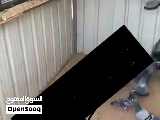 حمام زاجل بكستاني