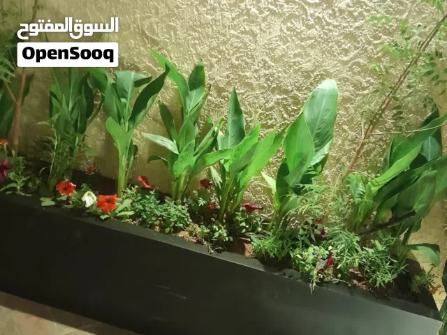 مشتل تنسيق حدائق