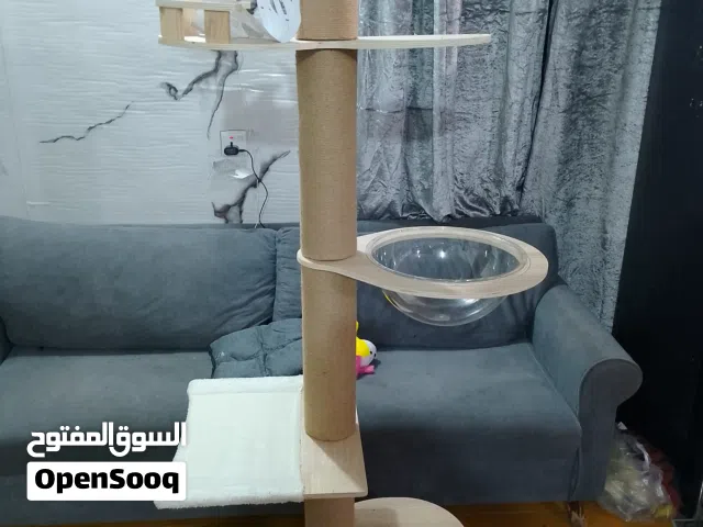 خاص بلقطط ارتفاع مترين