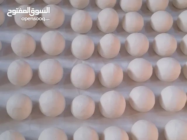 جميد بلدي سمن غنم