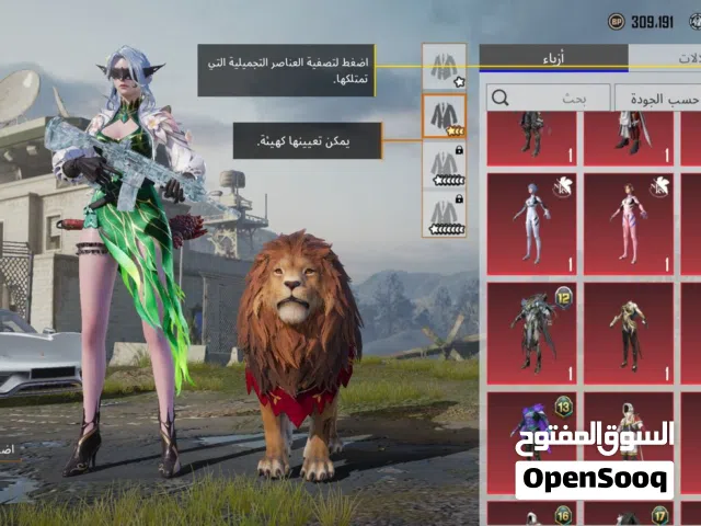 Pubg Accounts and Characters for Sale in Basra