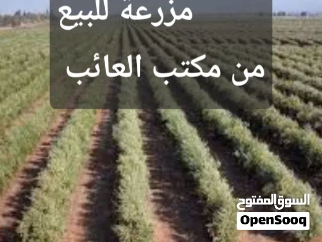 Farm Land for Sale in Al Khums Other