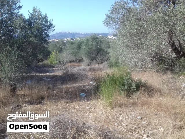 Mixed Use Land for Sale in Tartous Ash Shaykh Badr