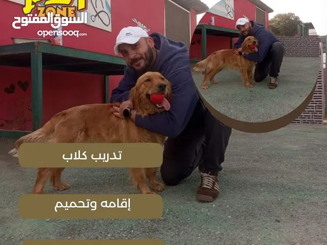 فندق بت زون لاقامه الكلاب وتدريبها