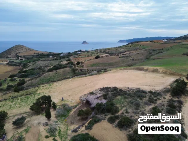 Farm Land for Sale in Bizerte Other