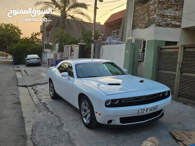 جالنجر SXT 2019