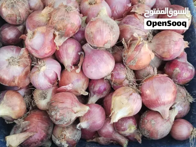بصل عماني نوعبة ممتازه الكيلو 400 بيسه