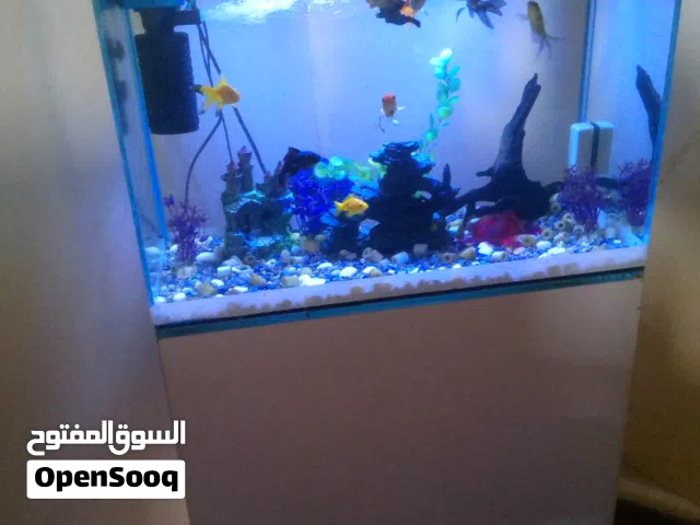 حوض سمك للبيع مع كامل معداته