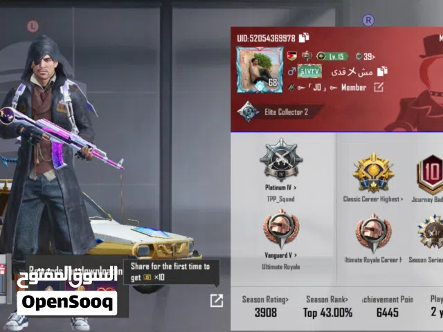 Pubg Accounts and Characters for Sale in Aqaba