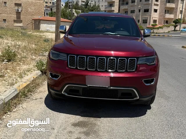 جيب ليمتد لون خمري مميز