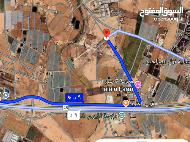 Farm Land for Sale in Amman Al Lubban