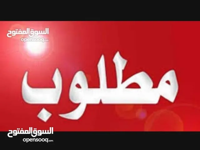 مطلوب بيض وندوت