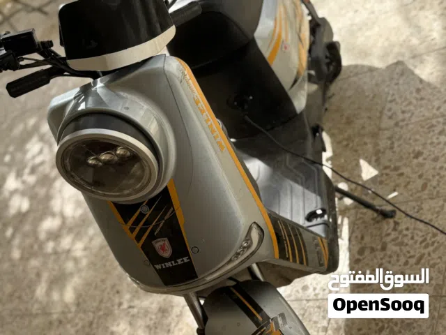 2025 اخرى اخرى