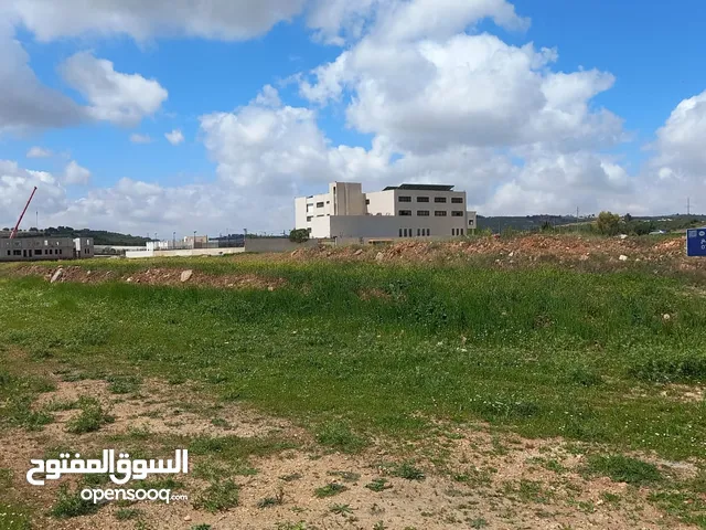 Land For Sale In Alyadodeh ( Property 42386 )-174714076