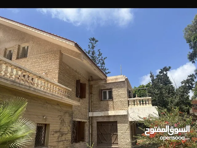 3148 m2 3 Bedrooms Villa for Sale in Alexandria Al Bitash