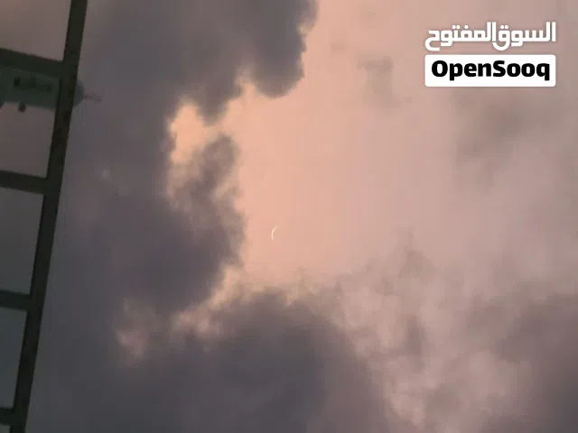 عرائس عرض والسعر عرطة الحققق