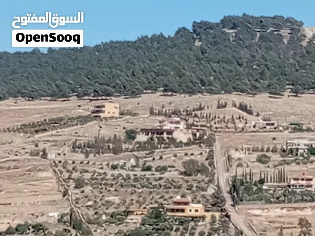Mixed Use Land for Sale in Jerash Unaybah